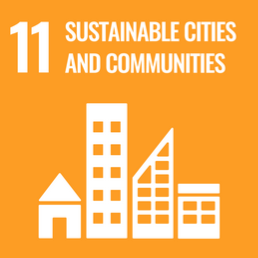 SDG 11