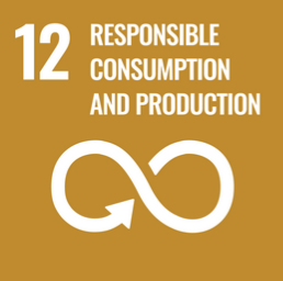 SDG 12