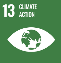 SDG 13