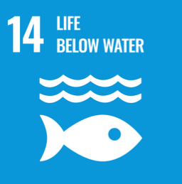 SDG 14