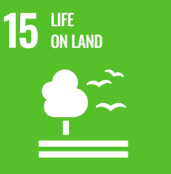 SDG 15