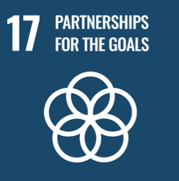 SDG 17