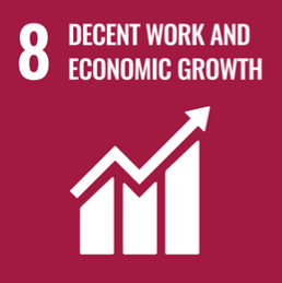 SDG 8