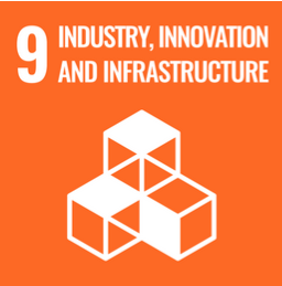 SDG 9